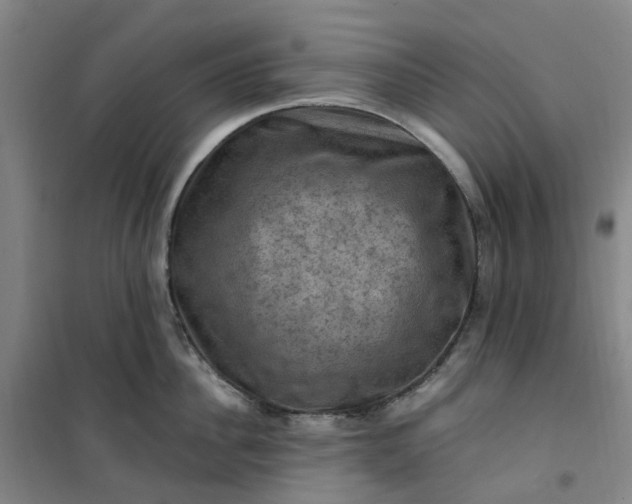 X0000101090956200807101545