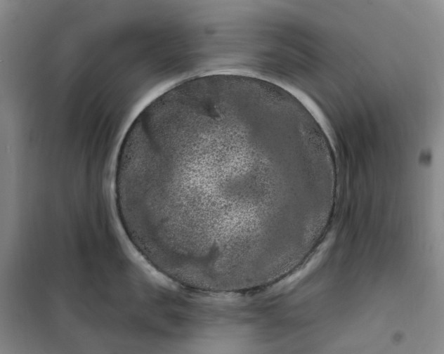 X0000101090957200807101545