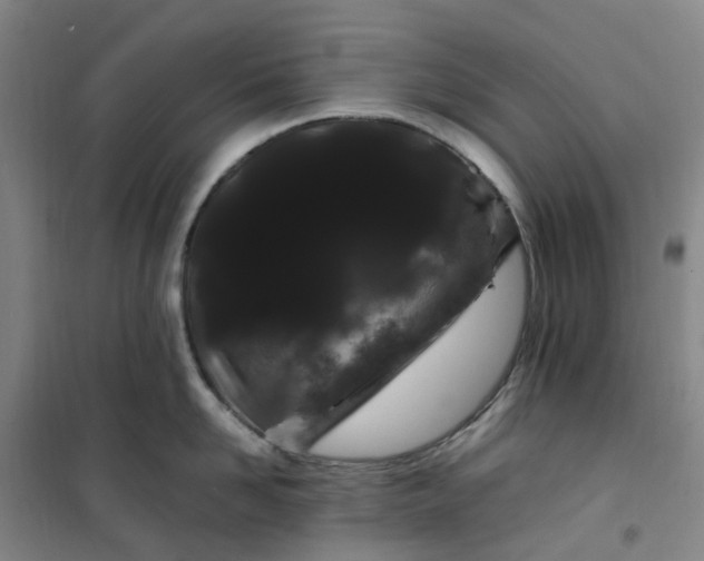 X0000101090958200807101545