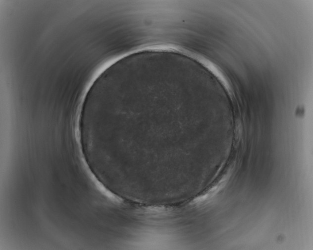 X0000101090959200807101545