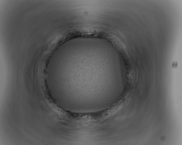 X0000101090961200807101545