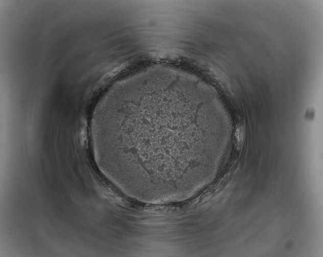 X0000101090963200807101545