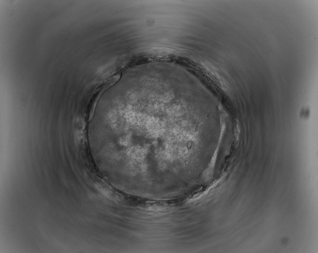 X0000101090964200807101545