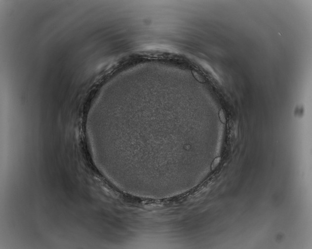 X0000101090965200807101545