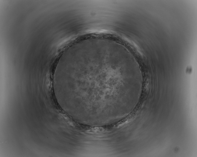 X0000101090966200807101545