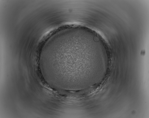 X0000101090967200807101545