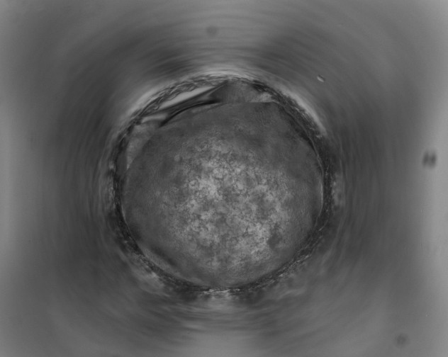 X0000101090968200807101545