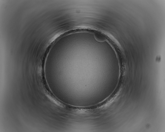 X0000101090969200807101545