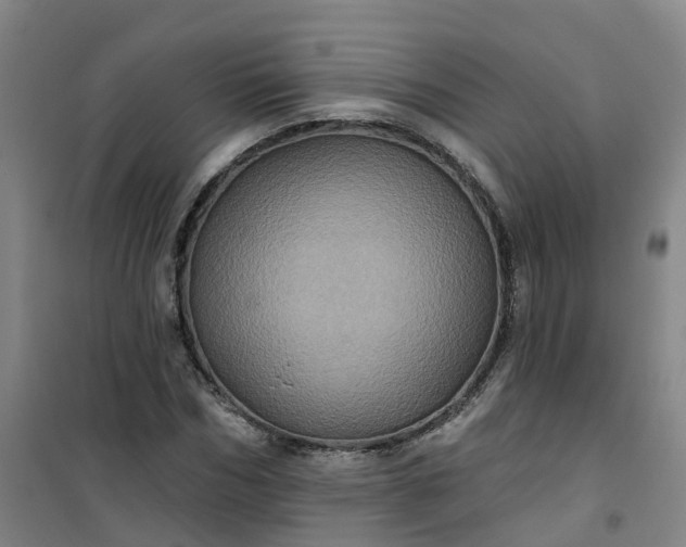 X0000101090970200807101545