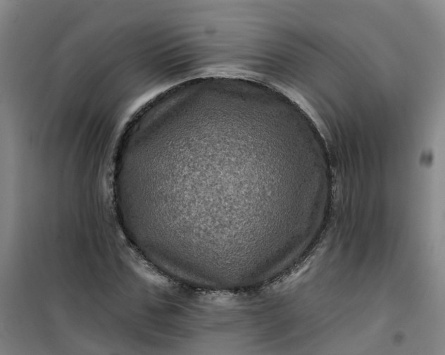 X0000101090971200807101545