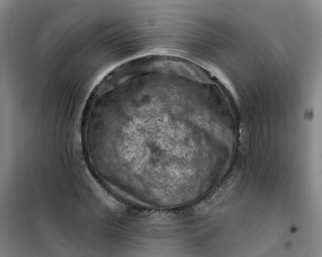 X0000101090972200807101545