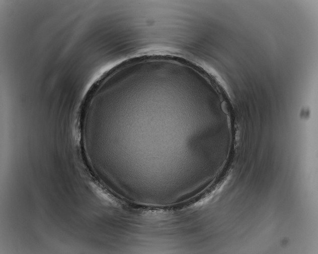 X0000101090973200807101545