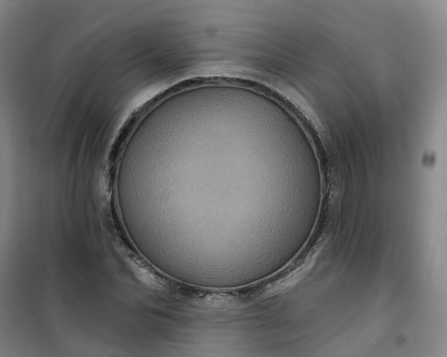 X0000101090974200807101545