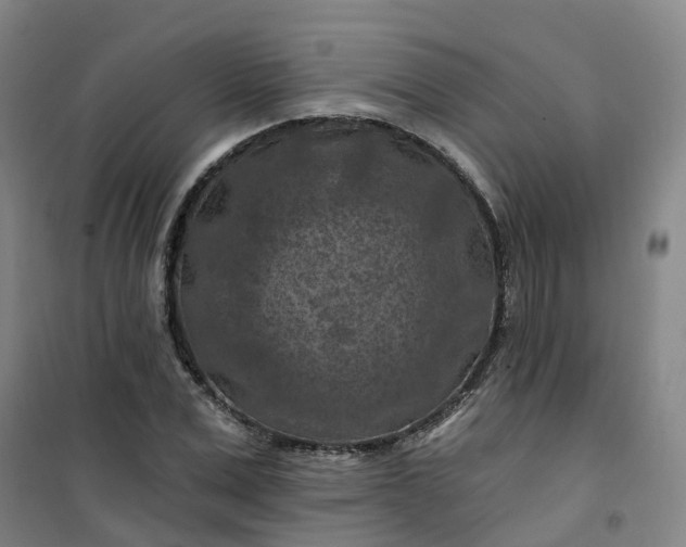 X0000101090975200807101544