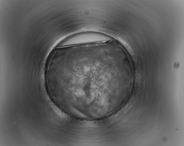 X0000101090976200807101544