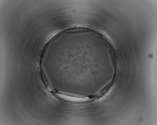 X0000101090977200807101544