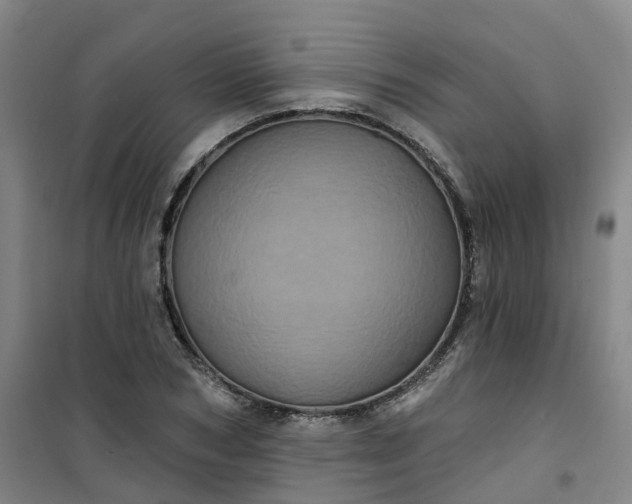 X0000101090978200807101544