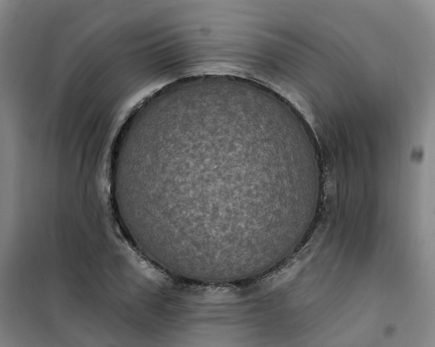 X0000101090979200807101544