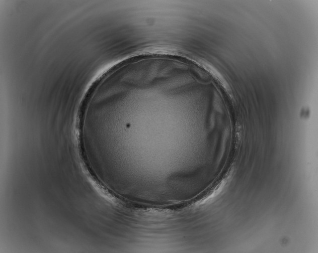 X0000101090981200807101544