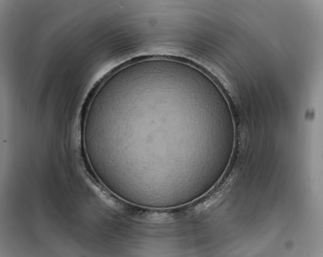 X0000101090982200807101544