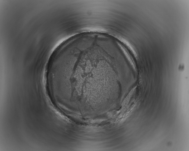 X0000101090983200807101544