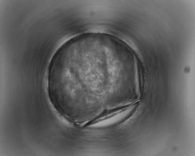 X0000101090984200807101544