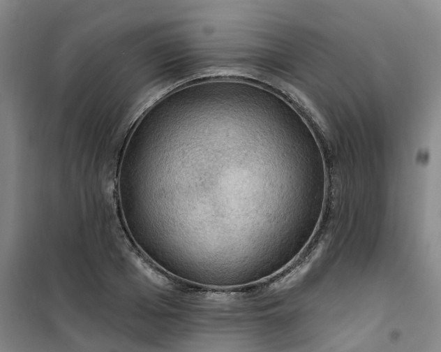 X0000101090985200807101544