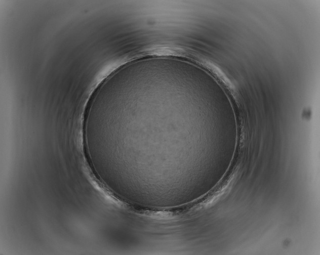 X0000101090986200807101544