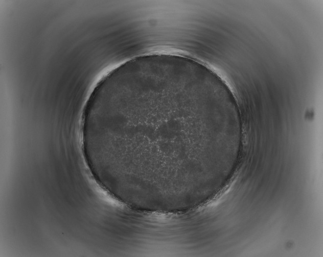 X0000101090987200807101544