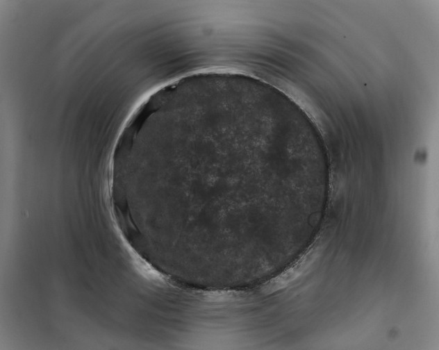 X0000101090988200807101544