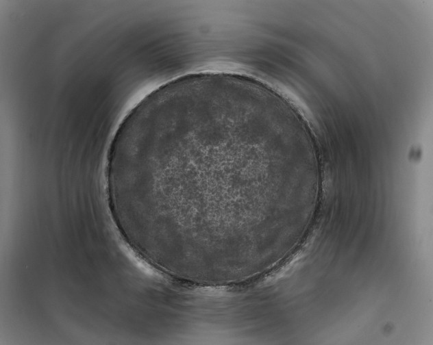 X0000101090990200807101544