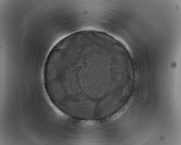 X0000101090991200807101544