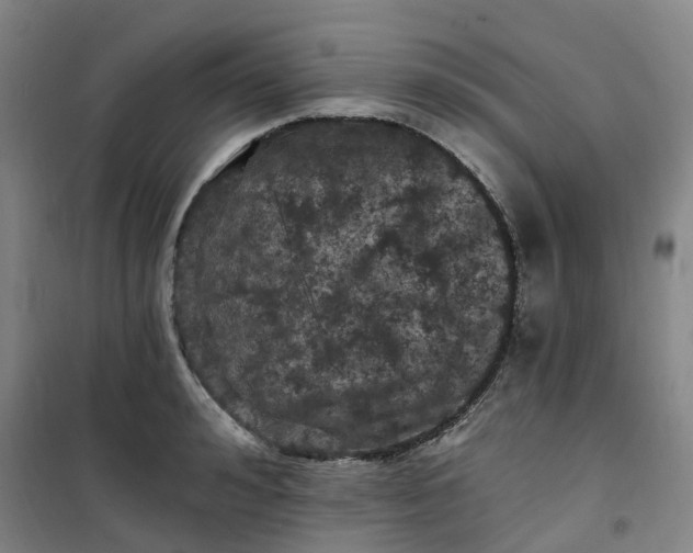 X0000101090992200807101544