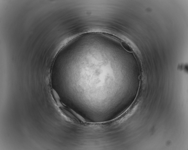 X0000101090993200807101544