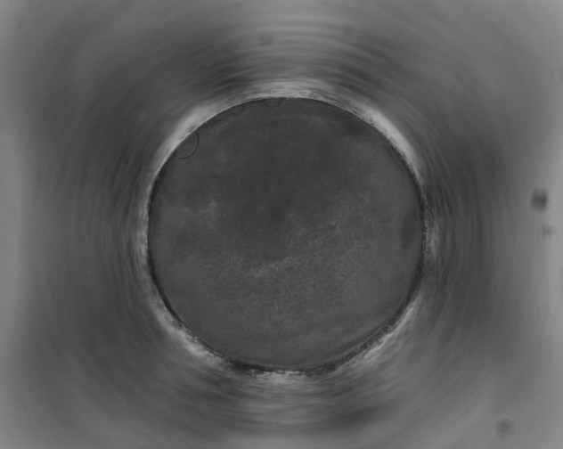 X0000101090994200807101544