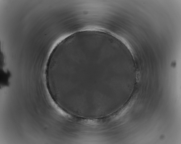 X0000101090995200807101544