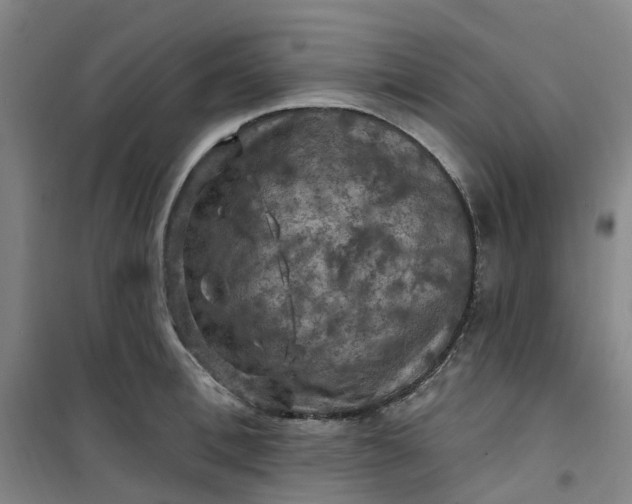 X0000101090996200807101544