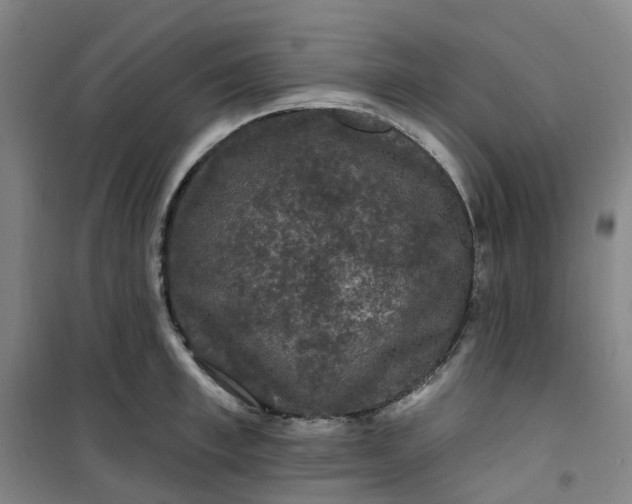 X0000101090997200807101544