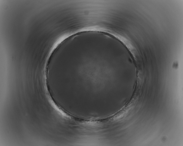 X0000101090998200807101544