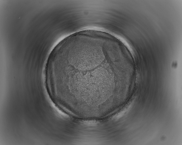 X0000101090999200807101544