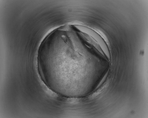 X0000101091000200807101544