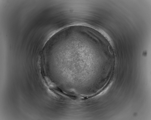 X0000101091001200807101544