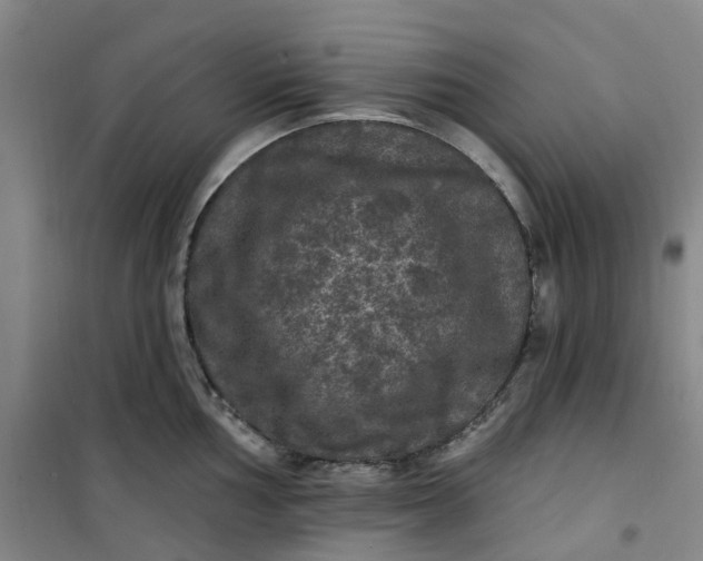 X0000101091002200807101544