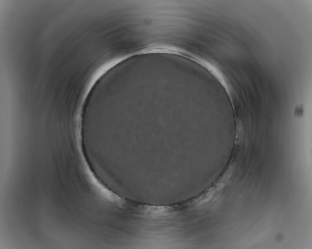 X0000101091003200807101544