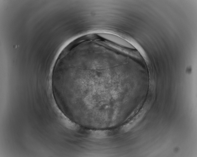 X0000101091004200807101544