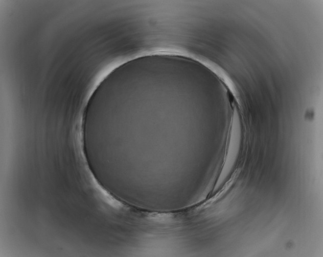 X0000101091006200807101544