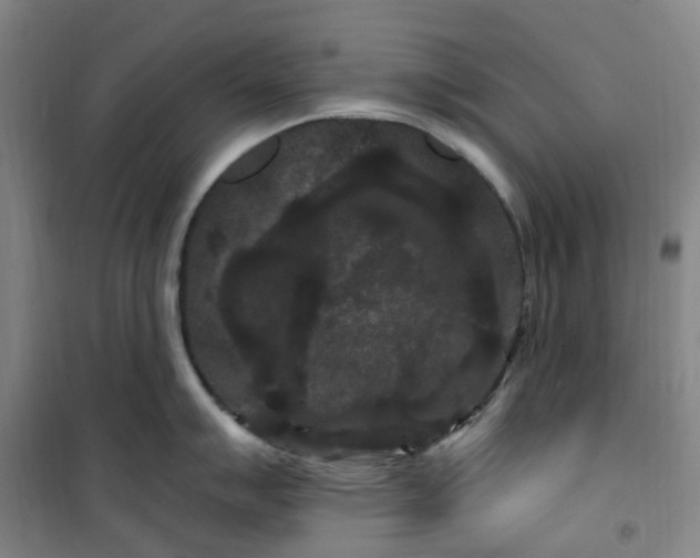 X0000101091007200807101544