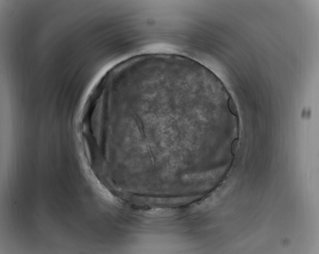 X0000101091008200807101544