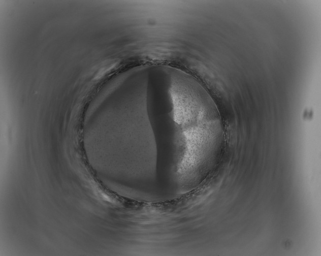 X0000101091009200807101543