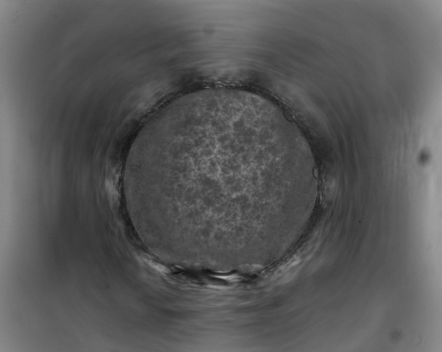 X0000101091010200807101543